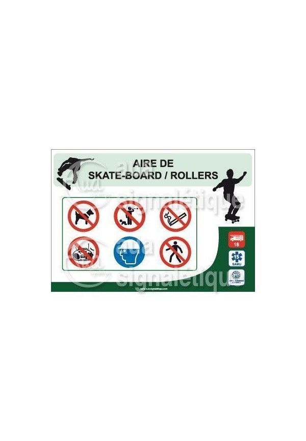 Panneau Aire de SkateBoard Rollers