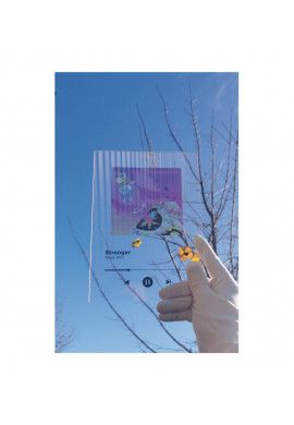 Plaque personnalisée Photo IPHONE - Photo en acrylique imprimée sur plexiglass transparent