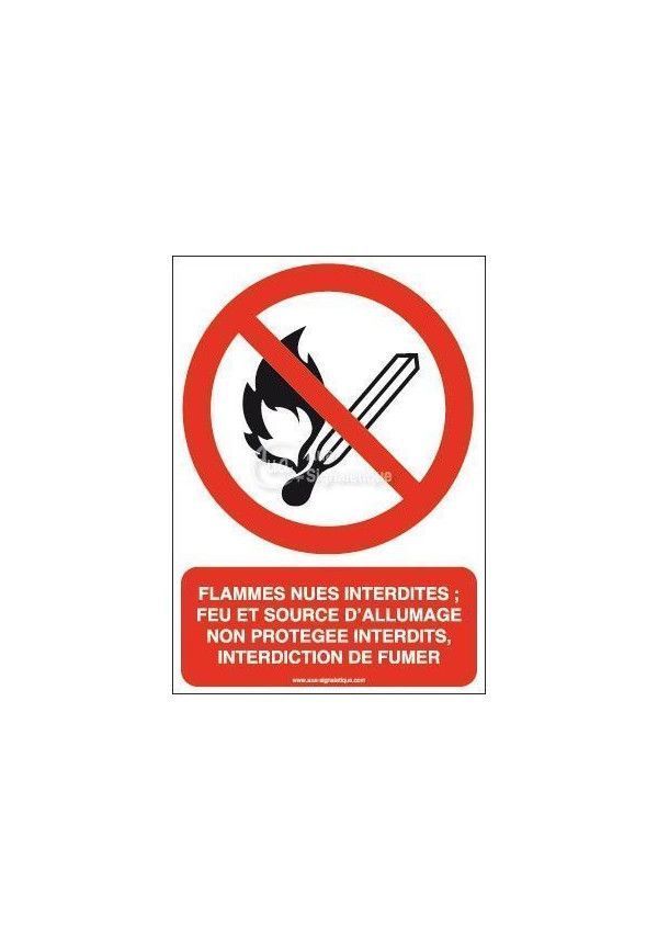 Flammes nues interdites; Feu et source d'allumage non protégée interdits, interdiction de fumer P003-AI Aluminium 3mm 150x210 mm