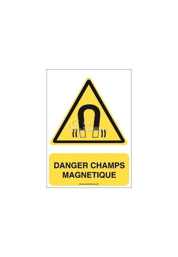 Danger, Champs magnétique W006-AI