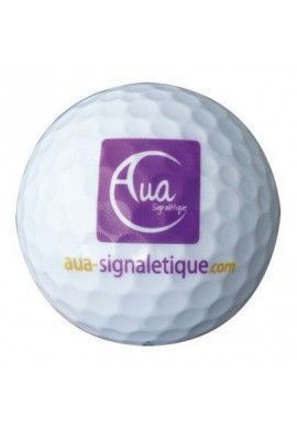 Balle de golf Titleist Pro V1X logotée - 4 Douzaines